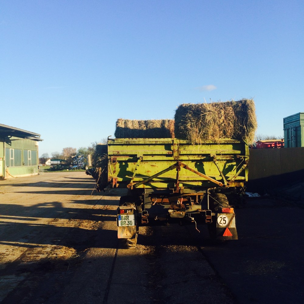 Brodowin Heu-Anhänger